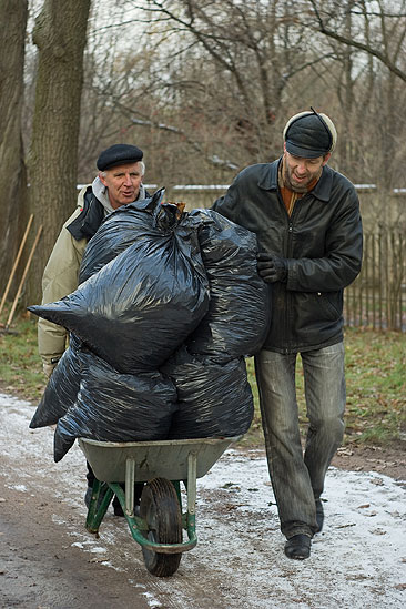 Помощь японскому саду